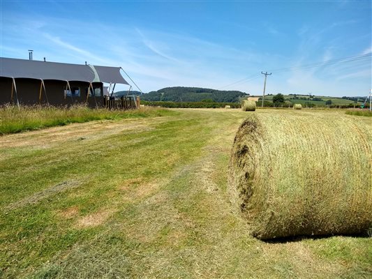 hay bales glamping